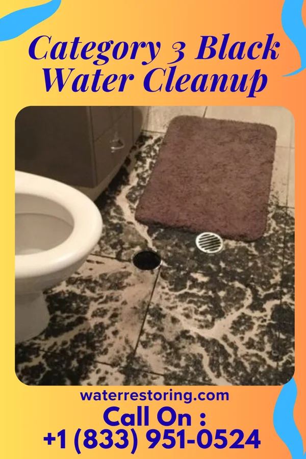 Category 3 Black Water Cleanup in Buckhorn, PA