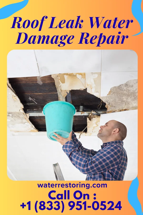 Roof Leak Water Damage Repair in Buckhorn, PA