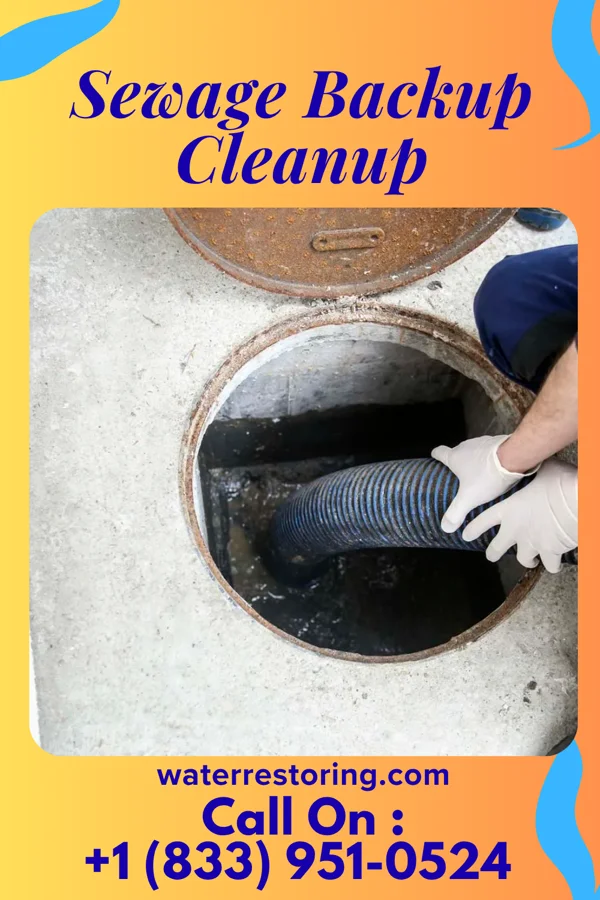 Sewage Backup Cleanup in Buckhorn, PA
