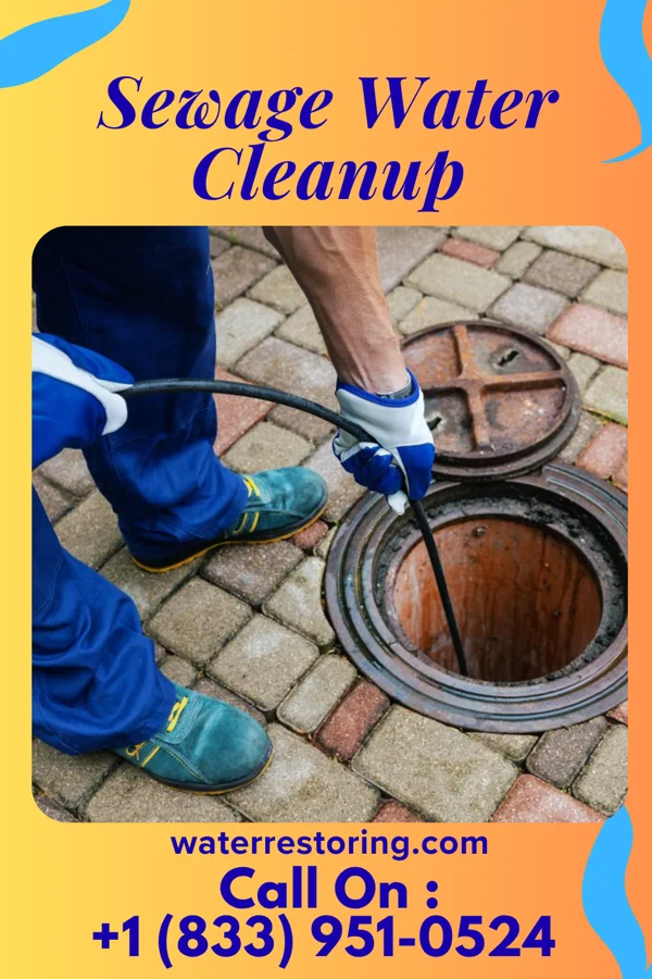 Sewage Water Cleanup in Buckhorn, PA