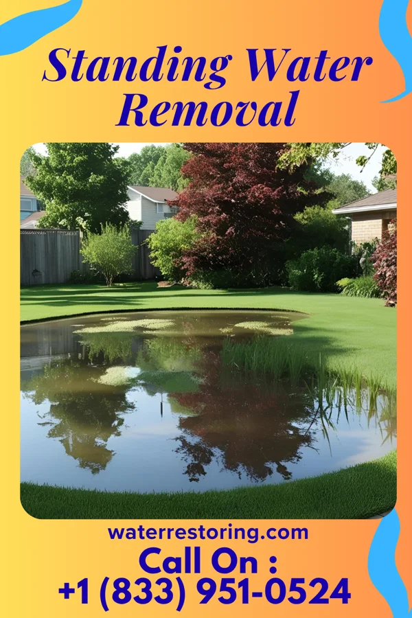 Standing Water Removal in Buckhorn, PA